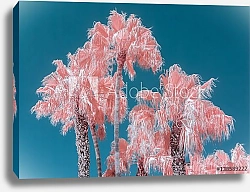 Постер Розовые пальмы и голубое небо