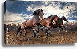Постер Скачущие кони