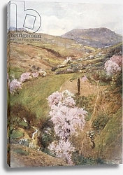 Постер Пиза Альберто Spring Day in a Valley near Girgenti