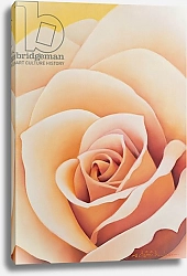 Постер Сим Миунг-Бо (совр) The Rose, 2003 3
