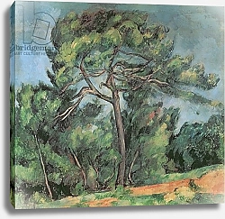 Постер Сезанн Поль (Paul Cezanne) The Large Pine, c.1889