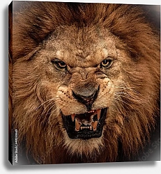 Постер Грозный лев