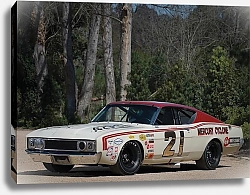 Постер Mercury Cyclone Spoiler II Boss 429 NASCAR '1969