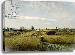 Постер Добиньи Шарль The Harvest, 1851