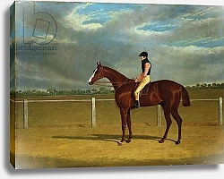 Постер Херринг Джон The Racehorse 'The Colonel' with William Scott Up