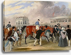 Постер Поллард Джеймс The Derby Pets- The Winner 1840