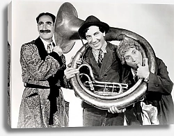Постер Marx Brothers (A Day At The Races) 2