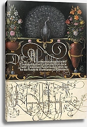 Постер Хофнагель Йорис Flower Arrangements, Peacock, Butterflies, and Insect