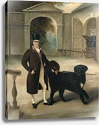Постер Фернли Джон Coachman with Newfoundland dog
