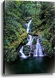 Постер Водопад в дождливом лесу