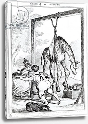 Постер Хит Уильям (грав, бат) State of the Giraffe, 1829