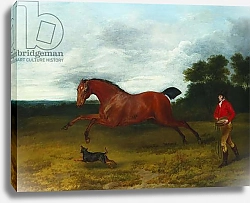 Постер Гилпин Соури (лошади) A groom with a terrier bringing in a high spirited stallion