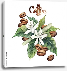 Постер Цветки кофе