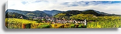 Постер Франция, Эльзас. Панорама с виноградниками и деревней