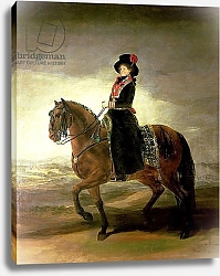 Постер Гойя Франсиско (Francisco de Goya) Equestrian portrait of Queen Maria Luisa, wife of King Charles IV of Spain, 1799