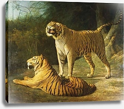 Постер Агассе Жак A Tiger and Tigress at the Exeter 'Change Menagerie in 1808, 1808