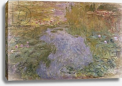Постер Моне Клод (Claude Monet) Water Lilies, 1919 1