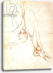Постер Микеланджело (Michelangelo Buonarroti) Study of a lower leg and foot