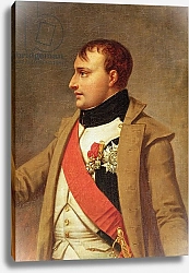 Постер Грос Барон Detail of Napoleon meeting Francis II after the Battle of Austerlitz, c.1812