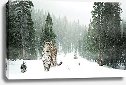 Постер Леопард в снегопад