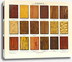 Постер Ценные породы дерева II