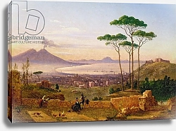 Постер Крешио Андреа Bay of Naples