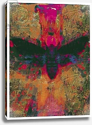 Постер МакКоноши Дэвид (совр) Death Moth Collage, 2016