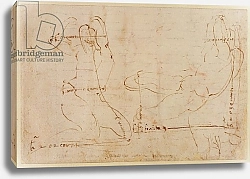 Постер Микеланджело (Michelangelo Buonarroti) Study for River God