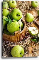 Постер Молодые зеленые яблочки