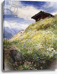 Постер МакВертер Джон An Alpine Meadow, Switzerland,