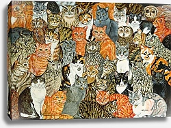 Постер Дитц (совр) The Owls and the Pussycats