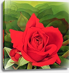 Постер Сим Миунг-Бо (совр) The Rose, 2003 2
