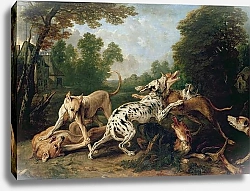 Постер Снайдерс Франц Dogs Fighting in a Wooded Clearing