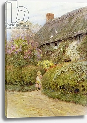 Постер Элингем Хелен Freshwater Cottage