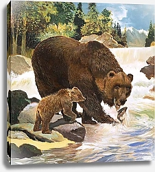 Постер Бэкхаус Д. (совр) The Brown Bear