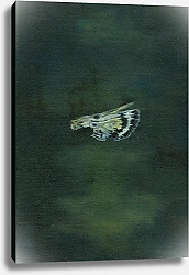 Постер Ларсон Белла (совр) Moth Wing, 2014,