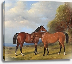 Постер Неизвестен Две скаковые лошади