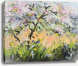 Постер Дюрхем Энн (совр) Spring Blossom