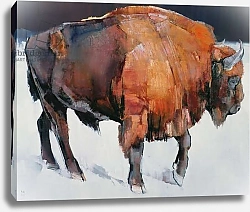 Постер Адлингтон Марк (совр) European Bison