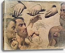 Постер Ингрес Джин Study of Heads and Hands for the Apotheosis of Homer