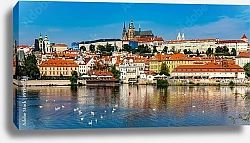 Постер Чехия, Прага. Панорама с лебедями