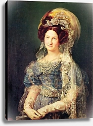 Постер Лопез Висенте Maria Christina de Bourbon-Sicile Queen of Spain, c.1829