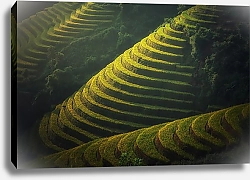 Постер Рисовые терассы, Вьетнам