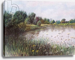Постер Старкей Марго (совр) Jubilee River near Maidenhed, 2018