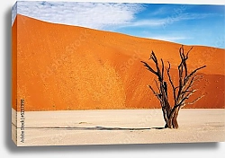 Постер Namib desert