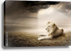 Постер Белый лев на закате