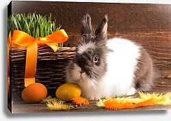 Постер Кролик и оранжевые яйца