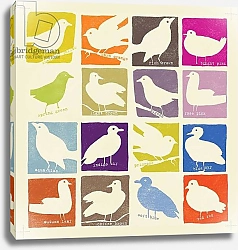 Постер Фрэн Дженни Bright Birds