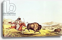 Постер Неизвестен Hunting the Buffalo
