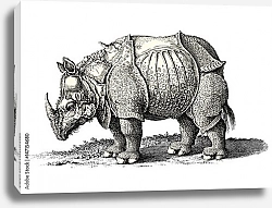 Постер Подробный рисунок носорога